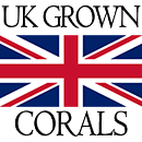 Reef Machine's Logo that says 'UK Grown Coral logo, best place to buy coral online uk logo'